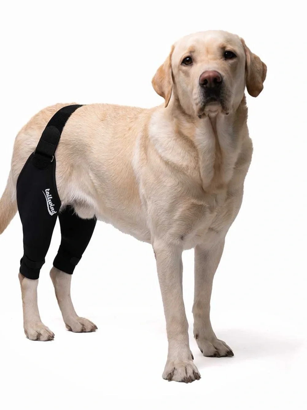 Black Double Knee Brace for Dogs - Cruciate Support & Pain Relief (L)